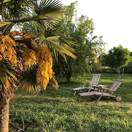 Chateau Bernon 15 Personnes - Piscine Et Вилла Queyrac